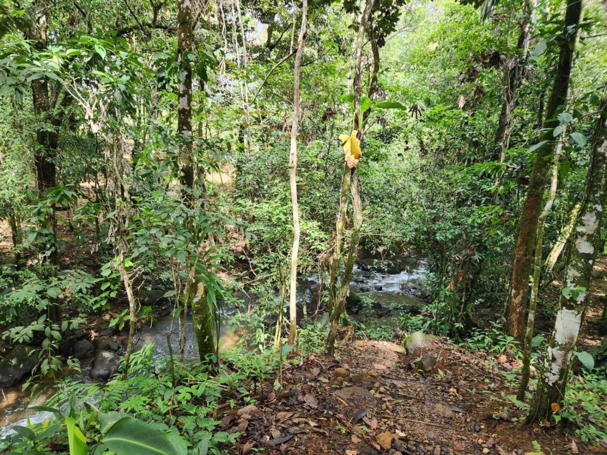 La Pina, Rio Celeste Aparthotel Εξωτερικό φωτογραφία